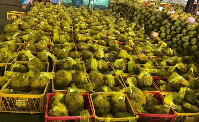 Nông sản Việt ghi dấu trên trường quốc tế