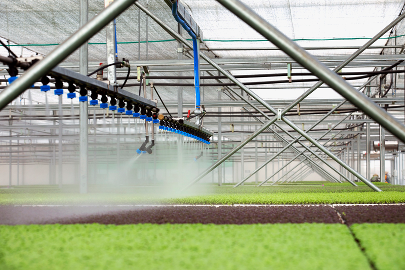 Thách thức ứng dụng trí tuệ nhân tạo vào nông nghiệp